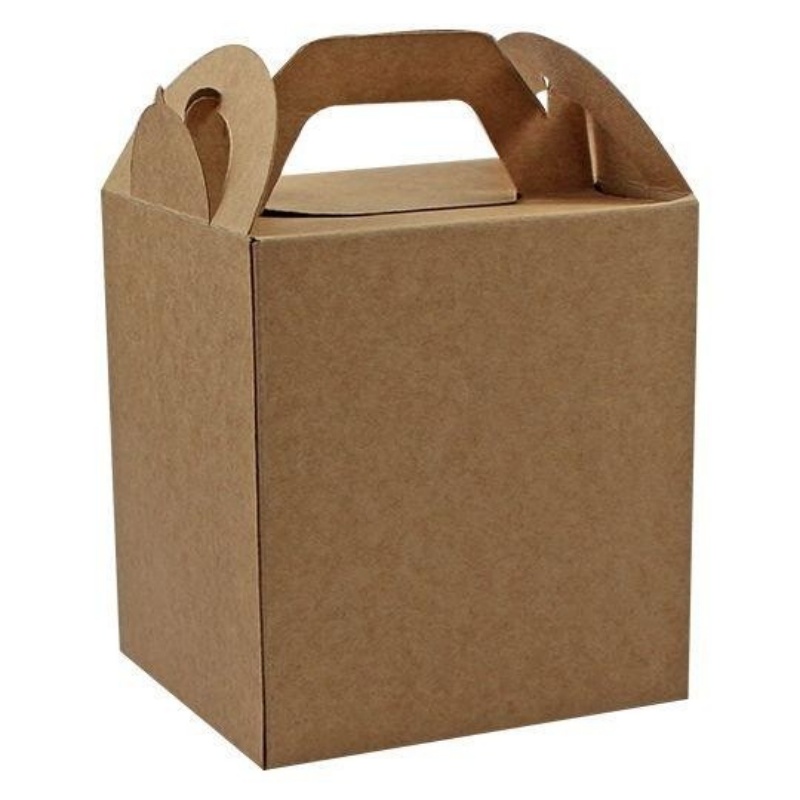 What is so special about kraft boxes?